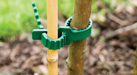 Διευθετήσιμοι 24cm μαλακοί δεσμοί λαστιχένιων δέντρων εγκαταστάσεων κήπων Brimmy