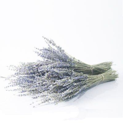 Lavender 50CM ρυθμίσεις λουλουδιών